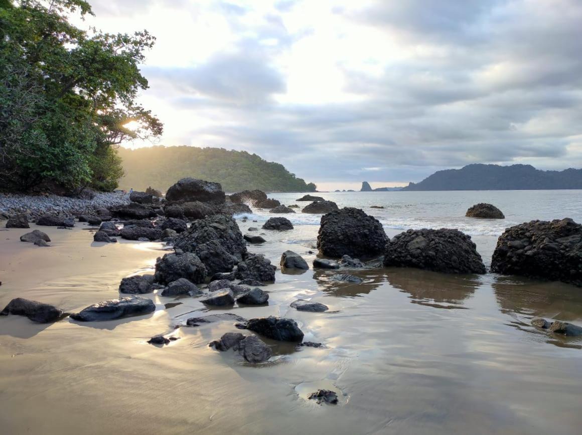 Adventure Turtle Homestay Meru Betiri Sarungan Eksteriør billede