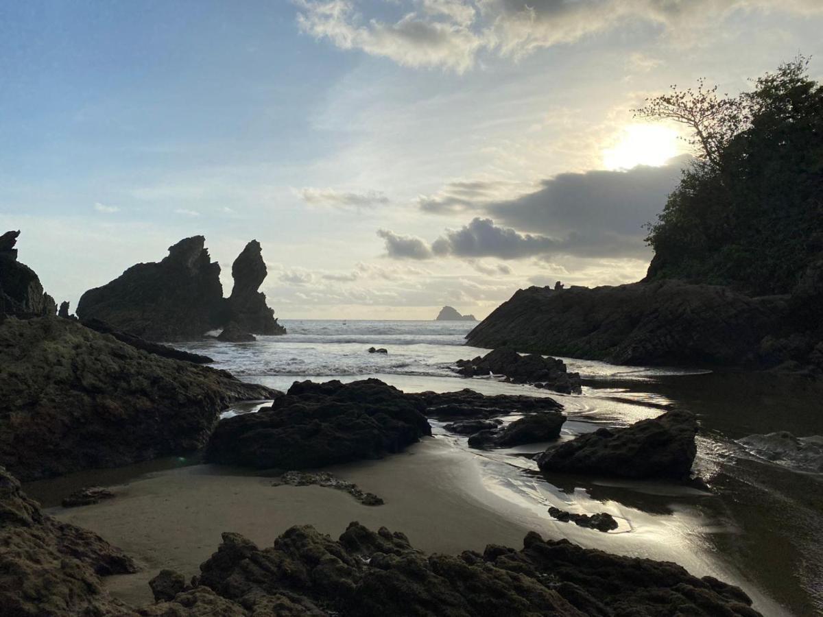 Adventure Turtle Homestay Meru Betiri Sarungan Eksteriør billede