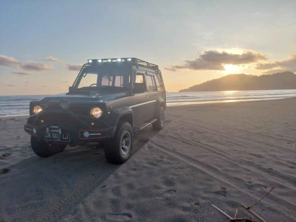 Adventure Turtle Homestay Meru Betiri Sarungan Eksteriør billede