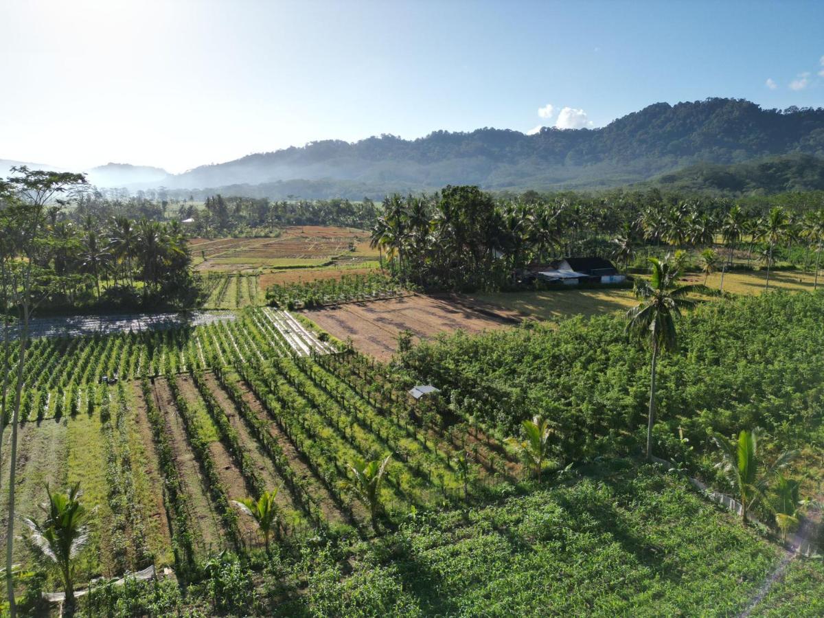 Adventure Turtle Homestay Meru Betiri Sarungan Eksteriør billede