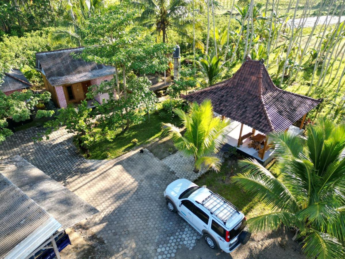 Adventure Turtle Homestay Meru Betiri Sarungan Eksteriør billede