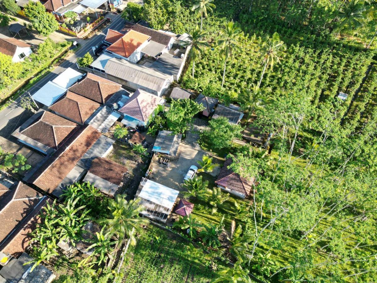 Adventure Turtle Homestay Meru Betiri Sarungan Eksteriør billede