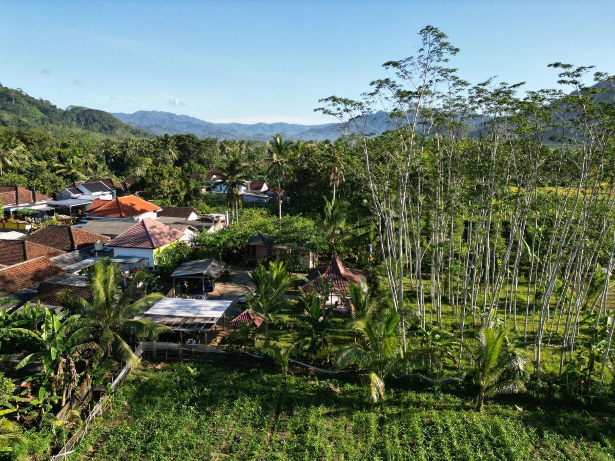Adventure Turtle Homestay Meru Betiri Sarungan Eksteriør billede