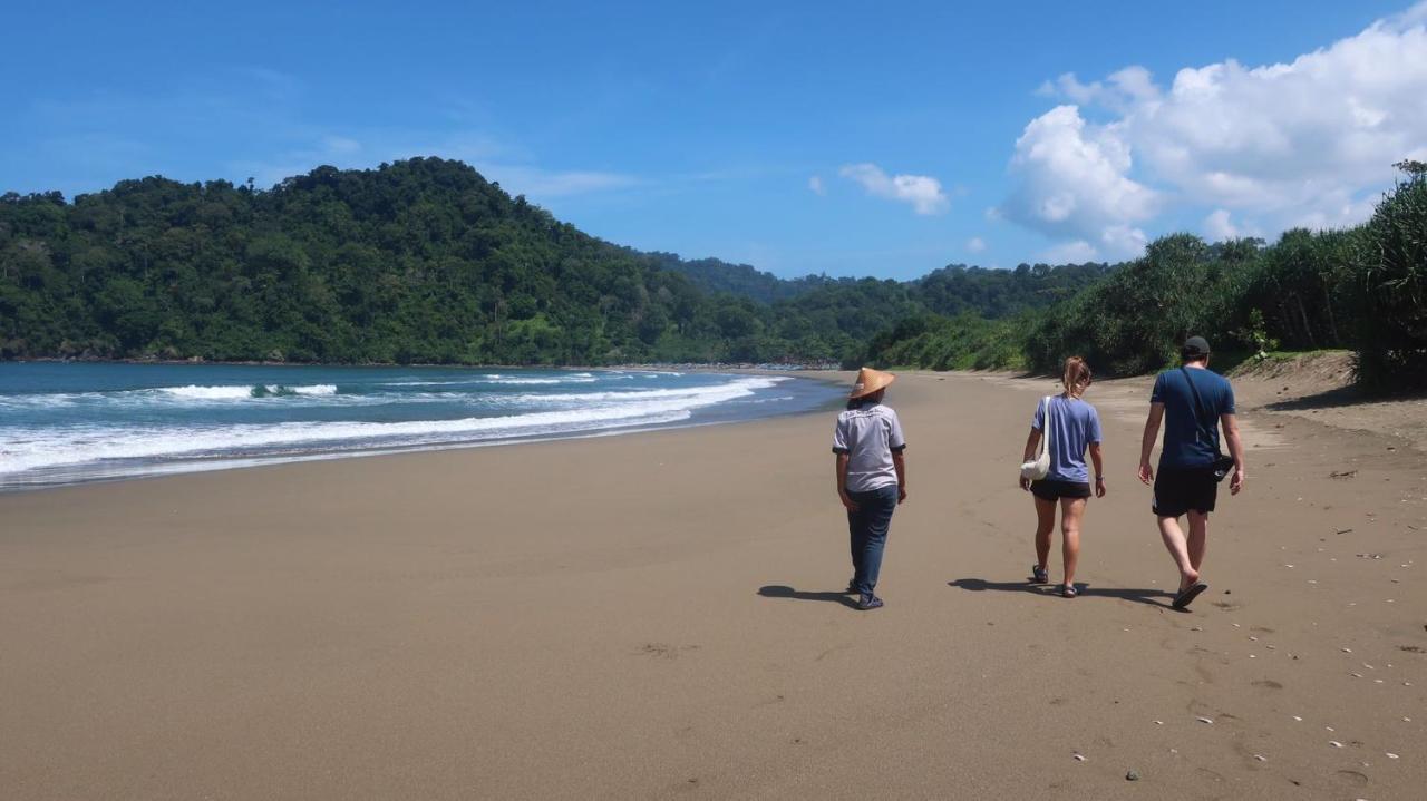 Adventure Turtle Homestay Meru Betiri Sarungan Eksteriør billede
