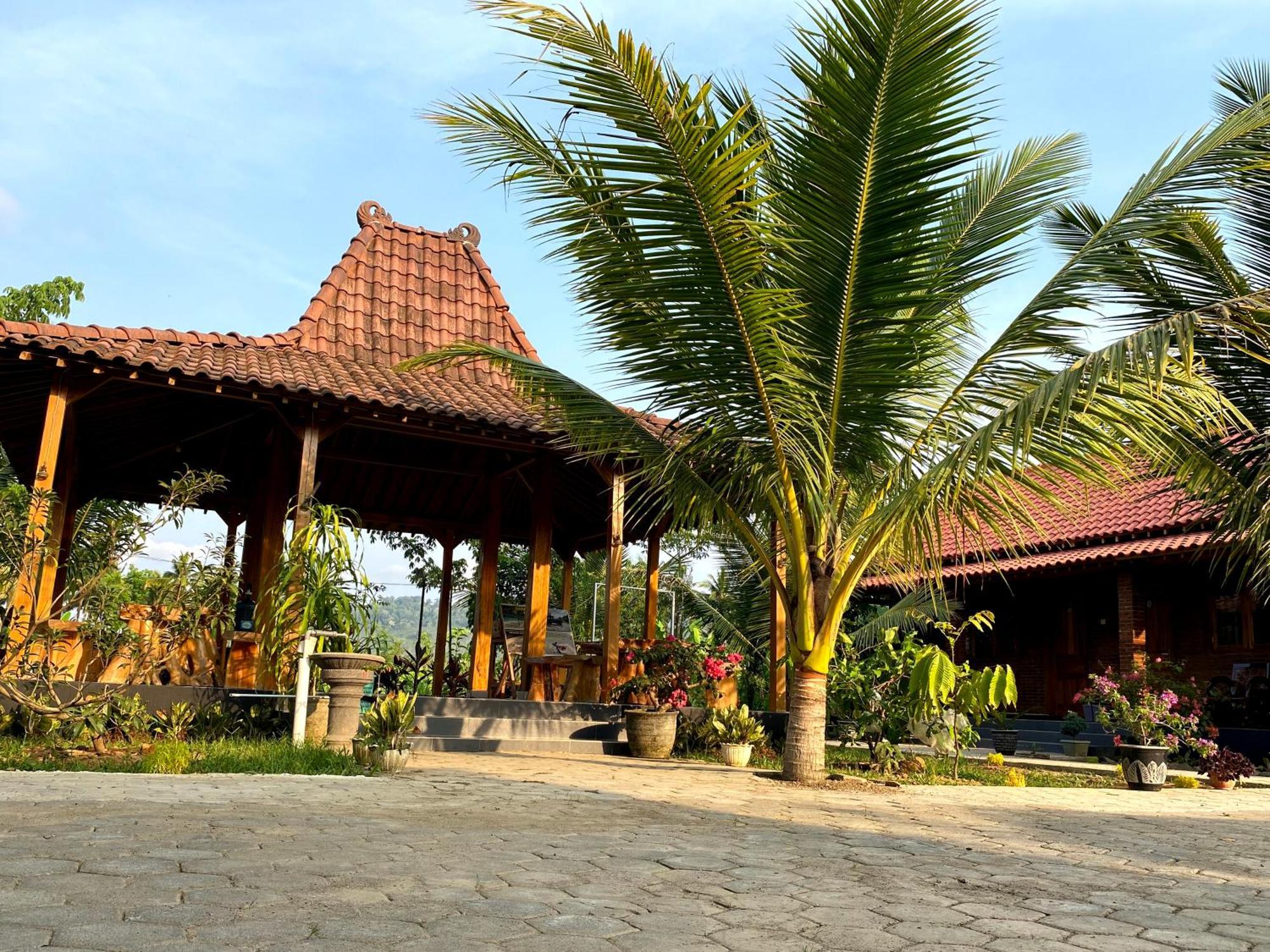 Adventure Turtle Homestay Meru Betiri Sarungan Eksteriør billede