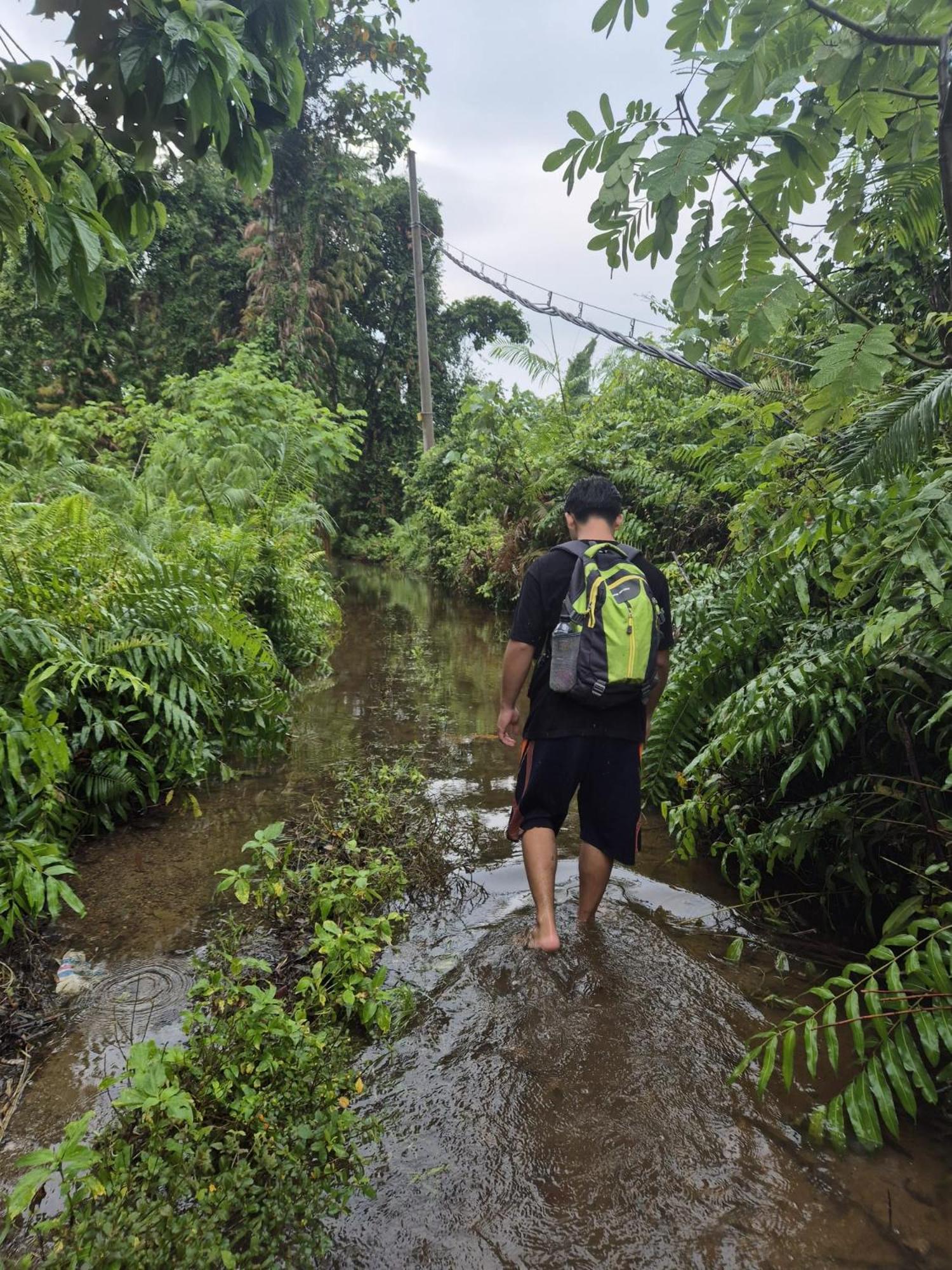 Adventure Turtle Homestay Meru Betiri Sarungan Eksteriør billede